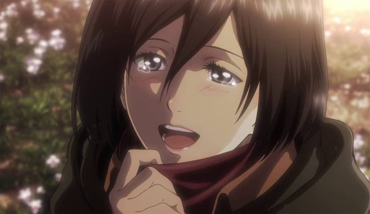 mikasa