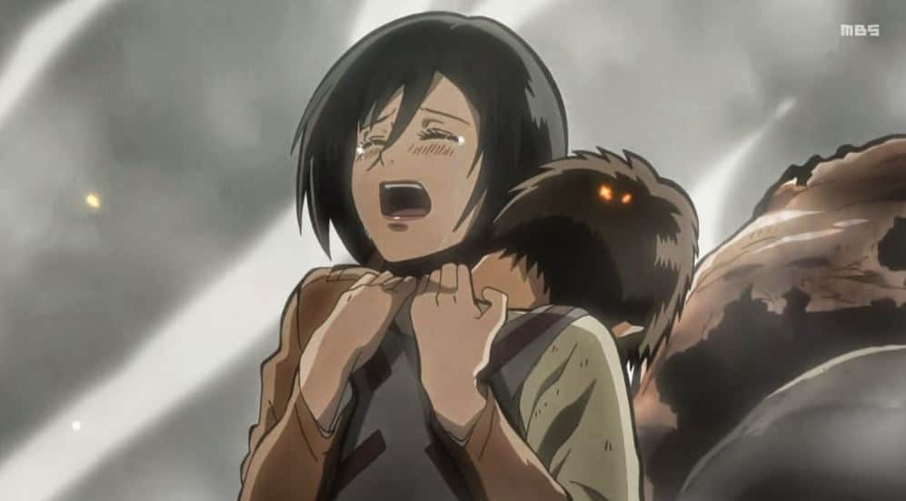 mikasa1