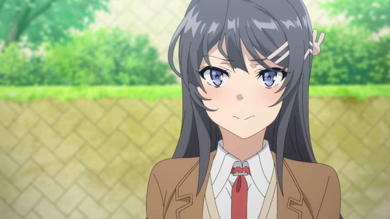 Seishun Buta Yarou wa Bunny Girl Senpai no Yume wo Minai Seishun Buta Yarou wa Bunny Girl Senpai no Yume wo Minai
