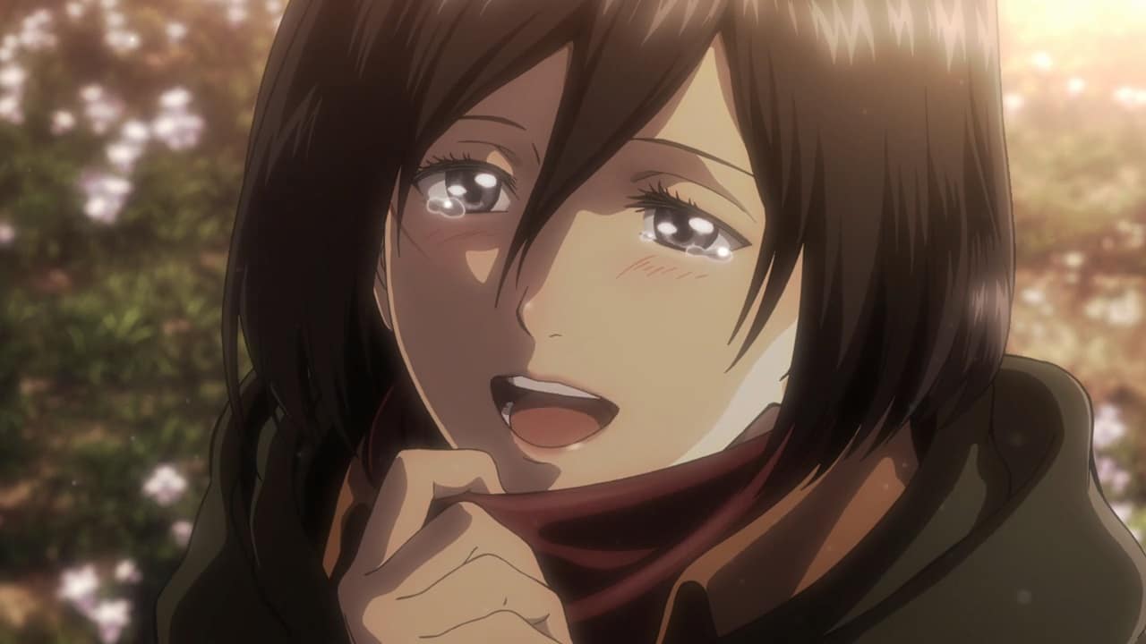 Mikasa SNK