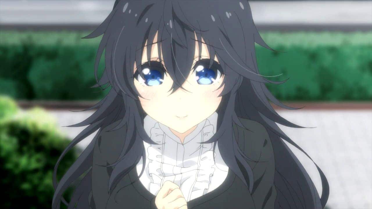 Esta es la razón por la que solo hay personas hermosas en el anime