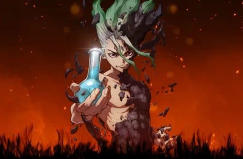dr stone