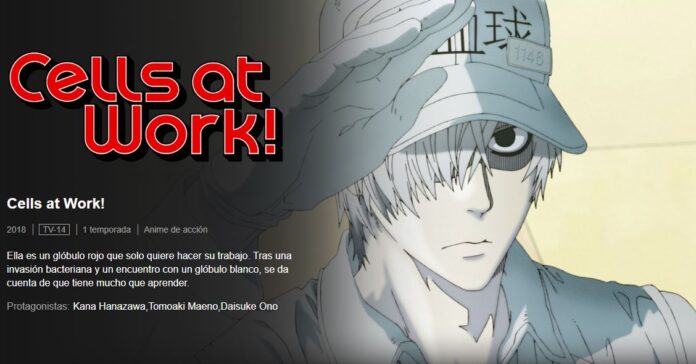 ya está disponible en Netflix Hataraku Saibou