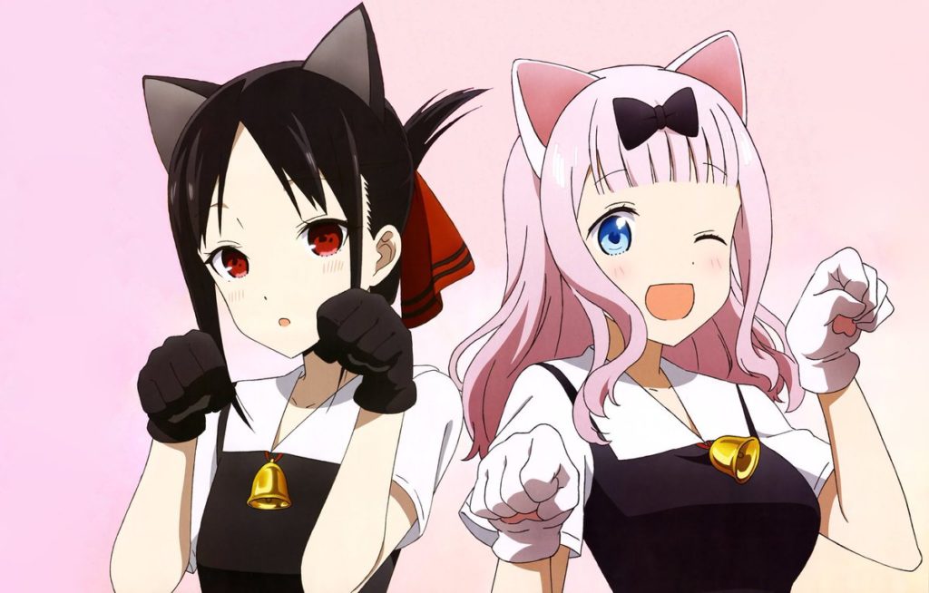 Kaguya-sama: Love is War chika kaguya neko