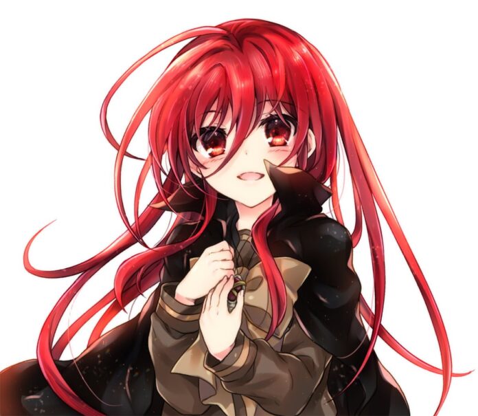 La novela ligera Shakugan no Shana tendrá una secuela