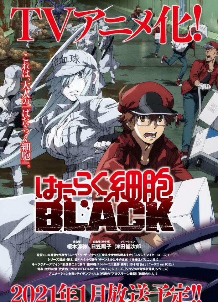 El anime Hataraku Saibou Black revela su staff y una imagen promocional