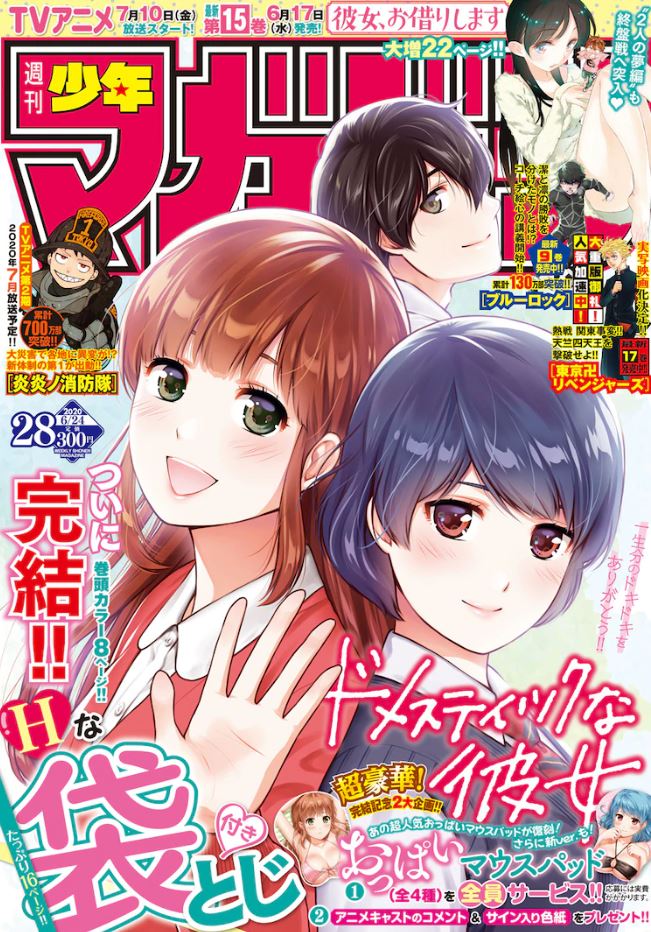 Domestic na Kanojo llega a su fin, despues de 6 años