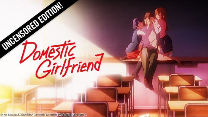 La versión sin censura de Domestic na Kanojo llega a Latinoamérica 