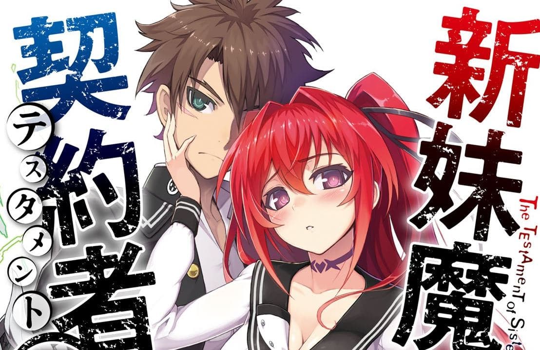 Shinmai Maou no Testament - Portada del volumen 13