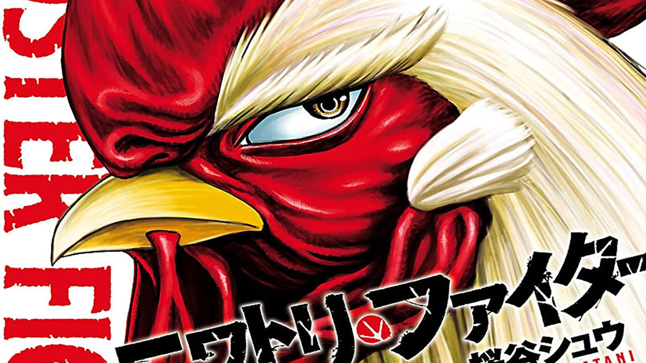 Rooster Fighter