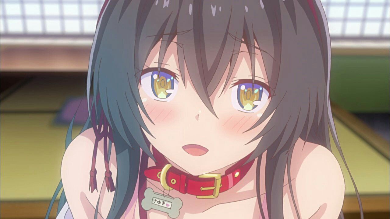 anime La novela lige