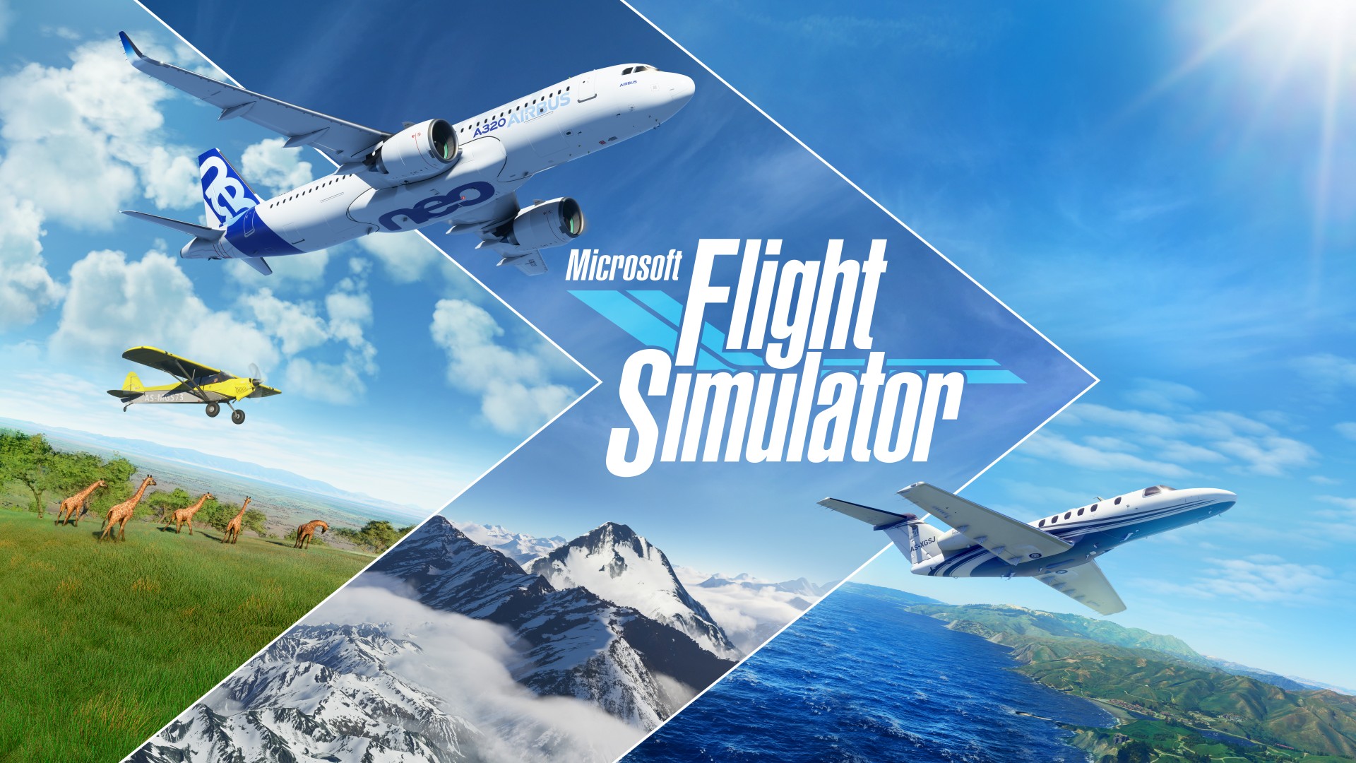 Microsoft Flight Simulator - cover