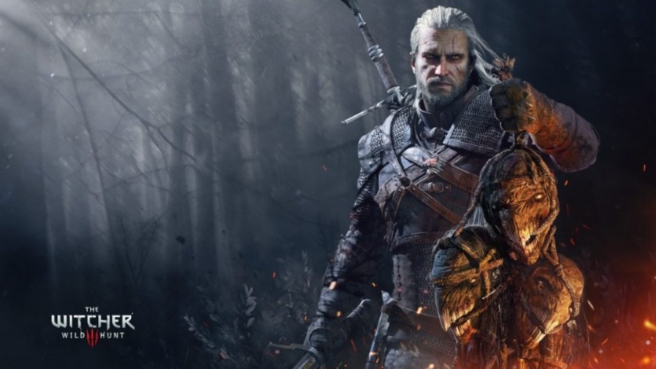 the witcher31