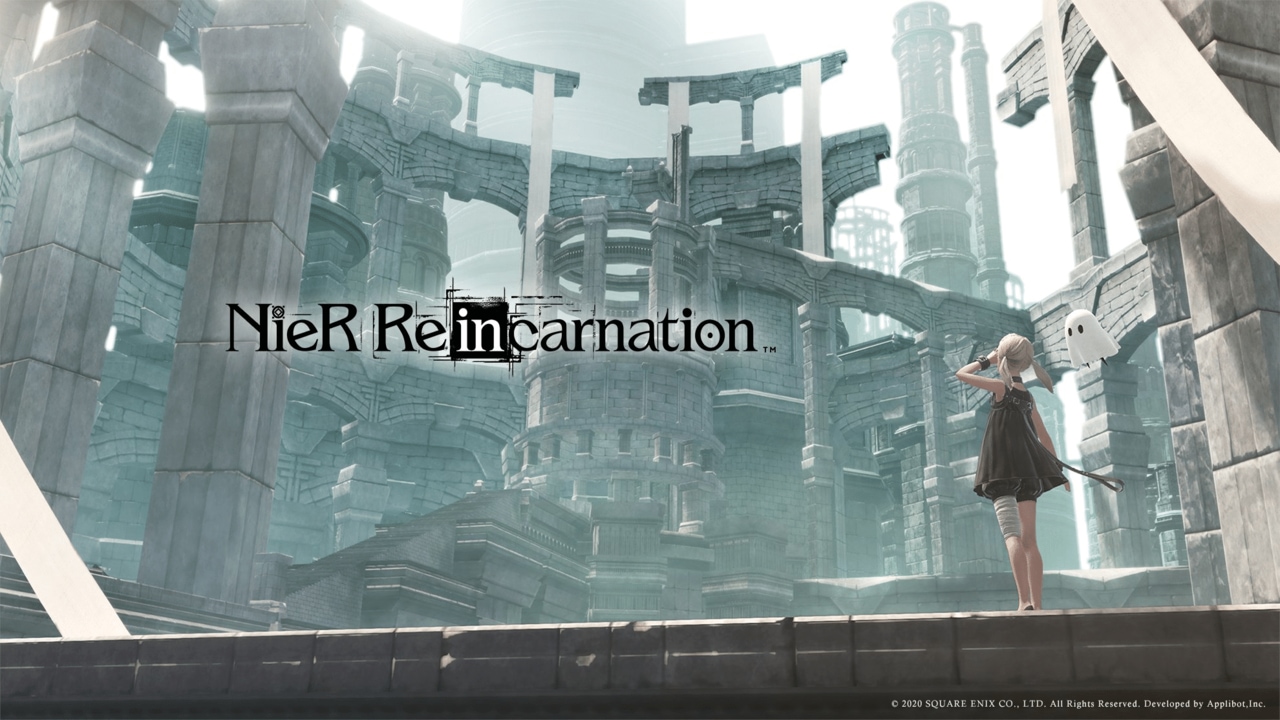 niereincarnation