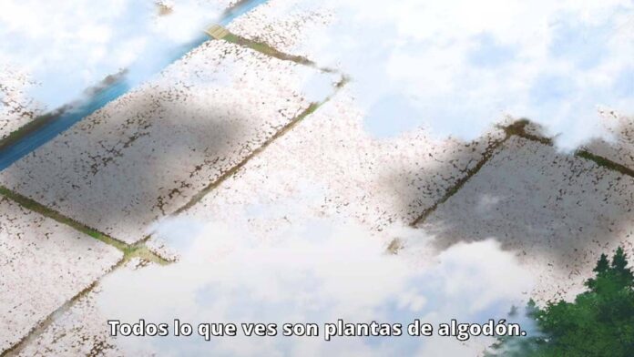 genjitsu shugi algodón