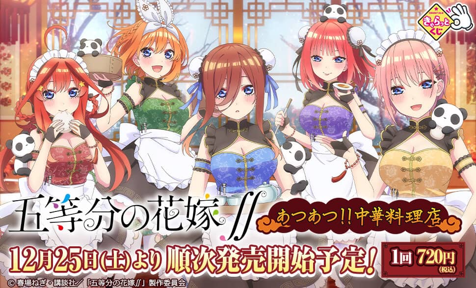 Go Toubon no Hanayome 13