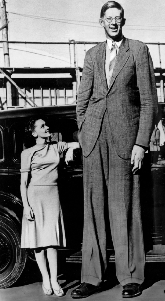 Robert Wadlow