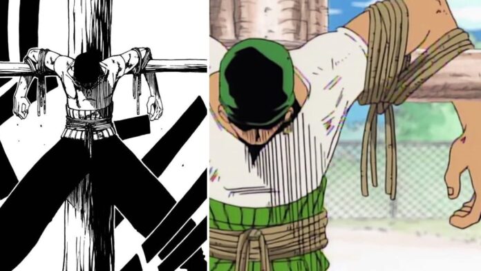 One piece zoro anime y manga