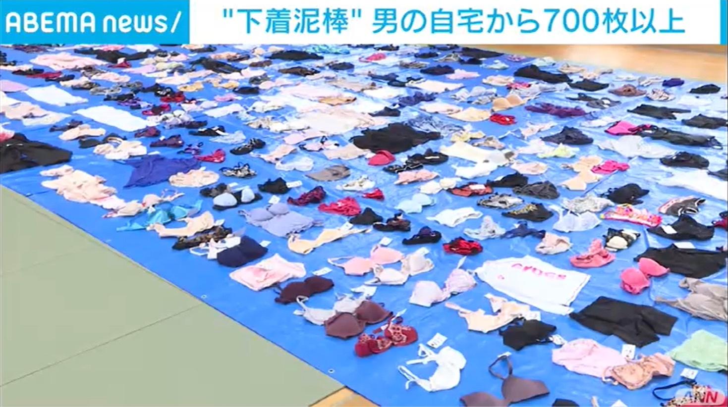 Un hombre es arrestado por robar 730 pantsus de mujeres en Japón