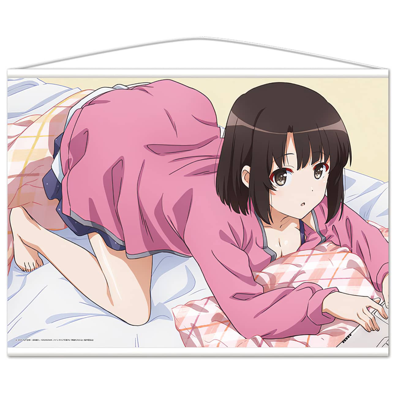 Saenai-Heroine-no-Sodatekata-Saekano-mercancia-4