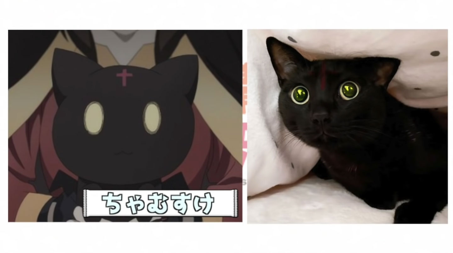 Konosuba modelo Artificial Chomusuke
