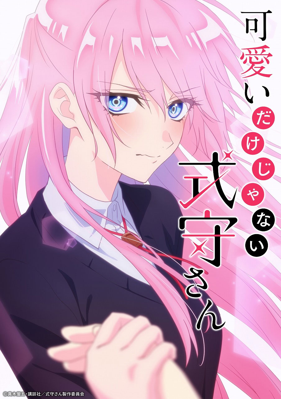 Kawaii Dake Ja Nai anime visual