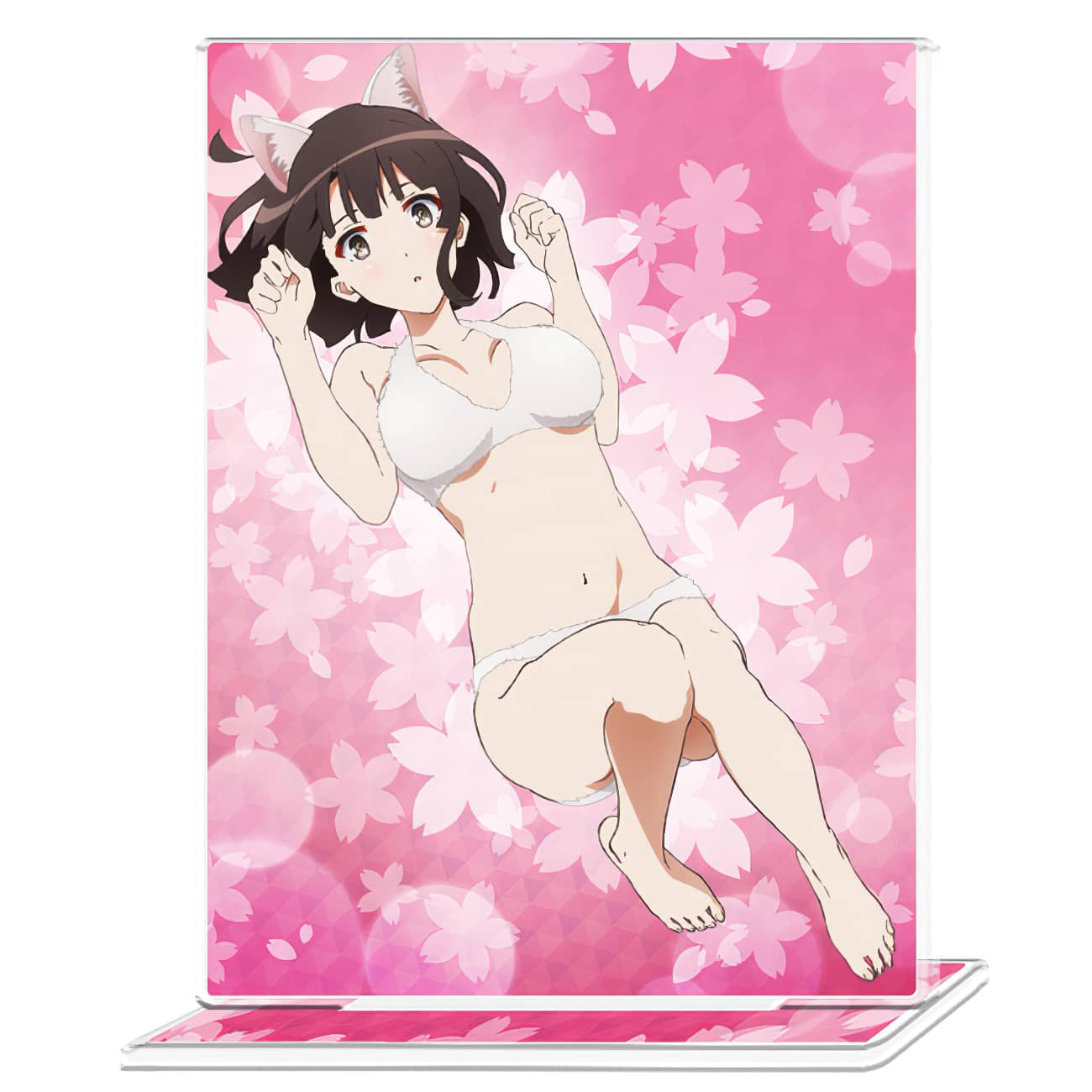 Saenai-Heroine-no-Sodatekata-Saekano-mercancia-2