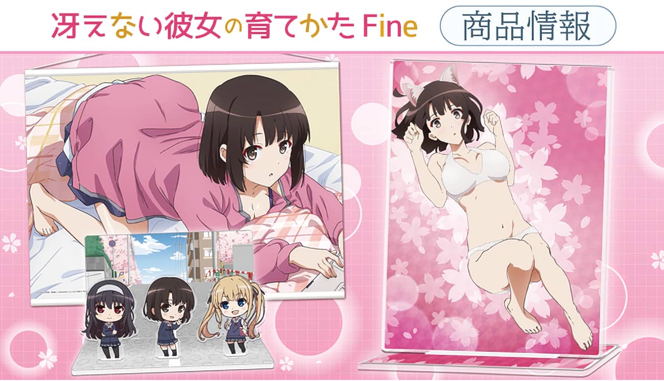 Saenai-Heroine-no-Sodatekata-Saekano-mercancia-8