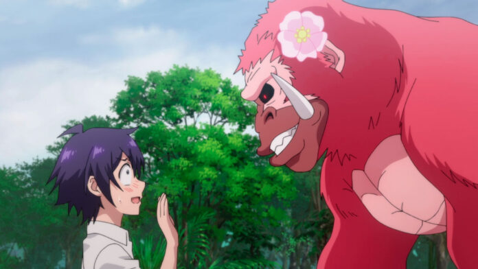 Shinka no Mi