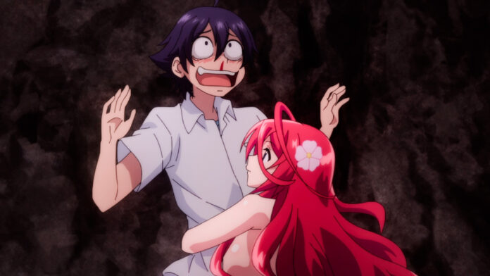 Shinka no Mi