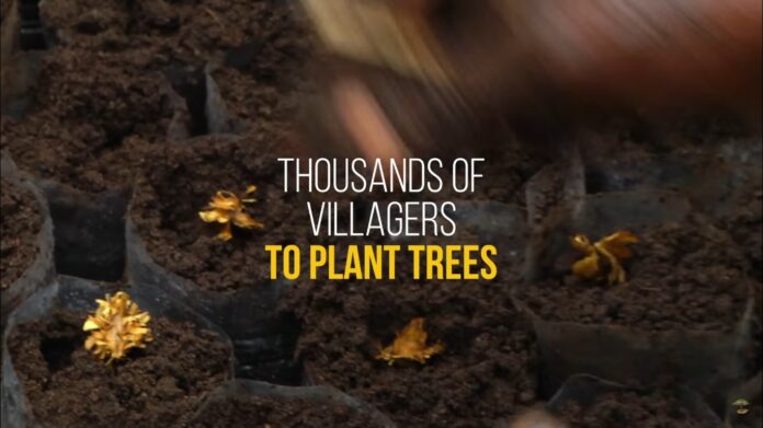 Eden Reforestation Projects - 1