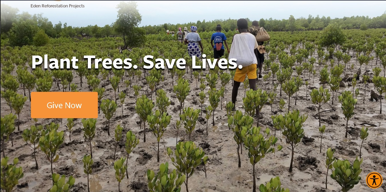 Eden Reforestation Projects - gamigo - cover