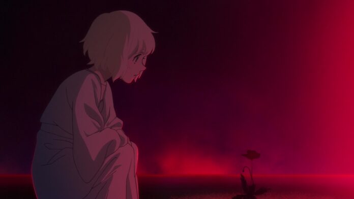 fena pirate princess - fena debe elegir