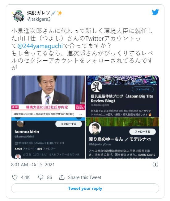 ministro de ambiente japonés sigue pechugonas en twitter