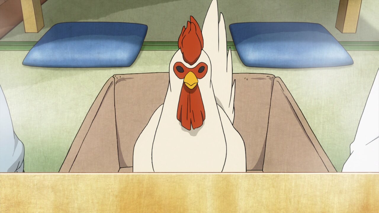Gallina-San