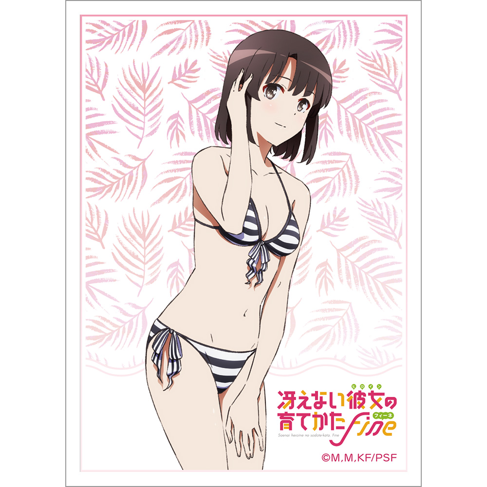 Saekano productos3