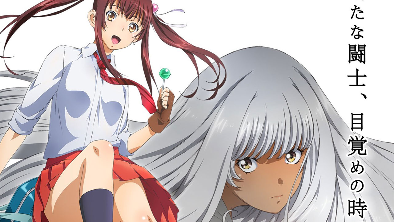 Shin Ikkitousen anime