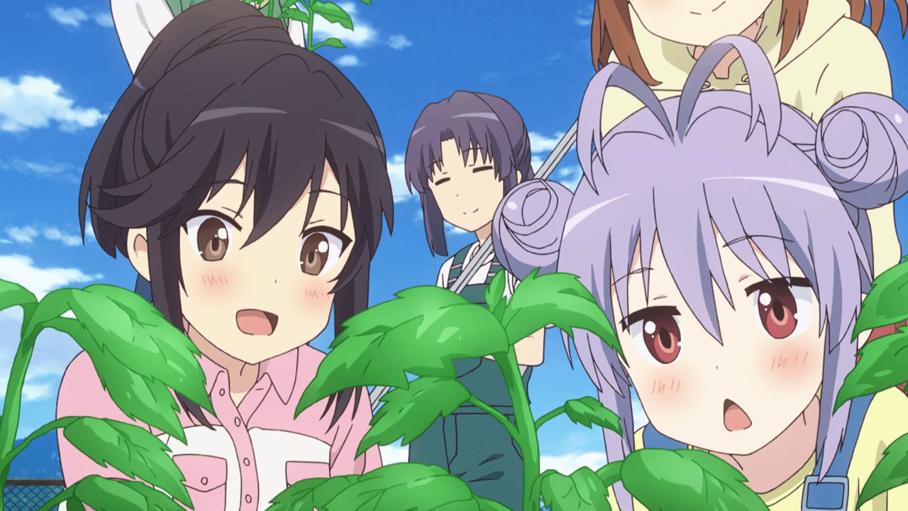 Non Non Biyori anime