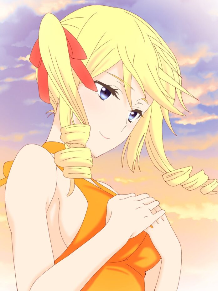 angelina kudou shields img 2