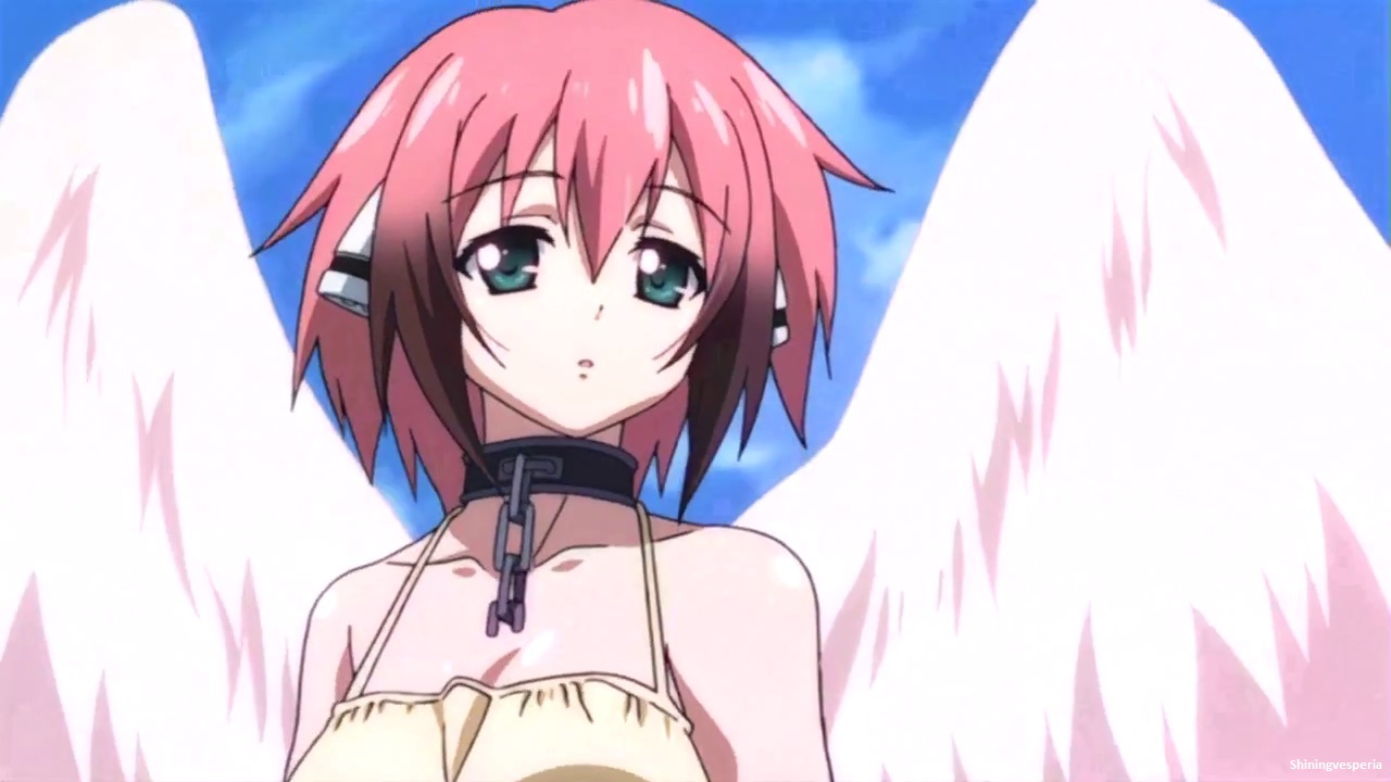 Estos son los 10 mejores animes del genero harem