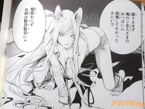 Bakemonogatari nuevo volumen2
