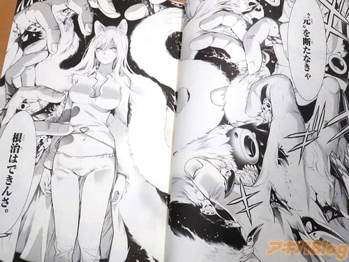 Bakemonogatari nuevo volumen4