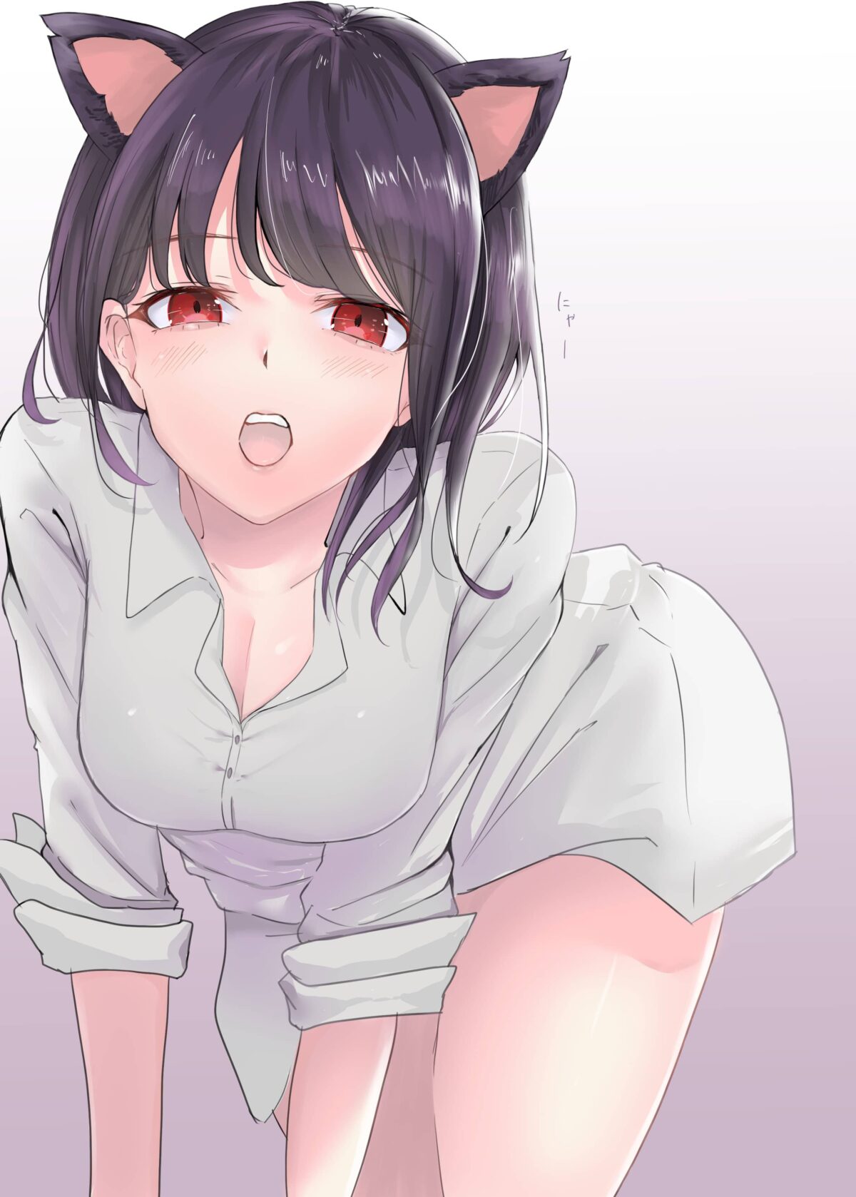 Así es como Japón celebra a lo grande el día de los gatos