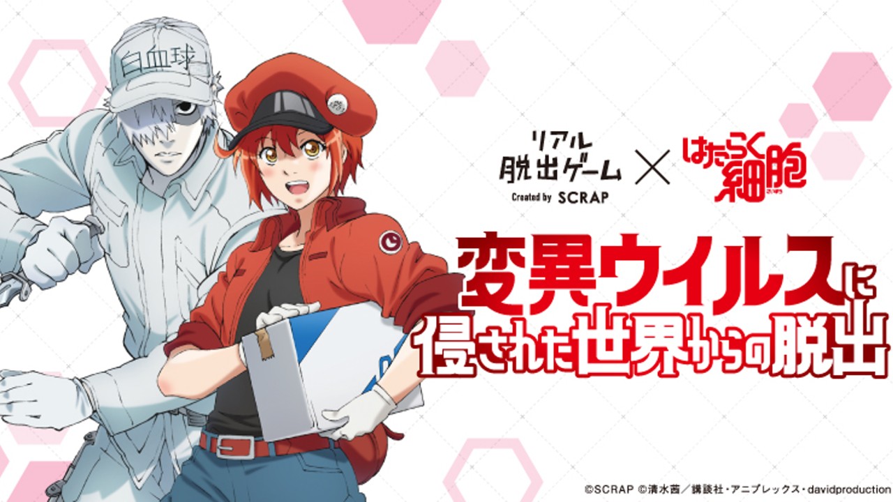 Hataraku Saibou Portada