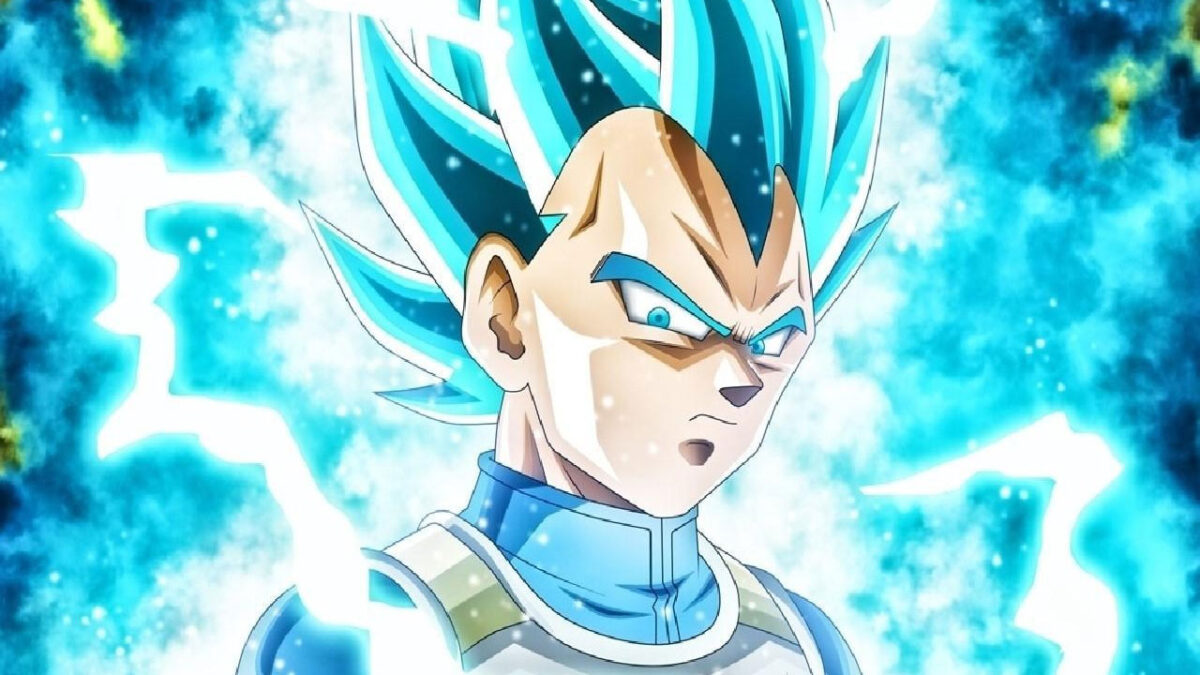 Vegeta Dragon Ball series