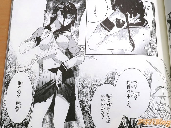 Bakemonogatari nuevo volumen8