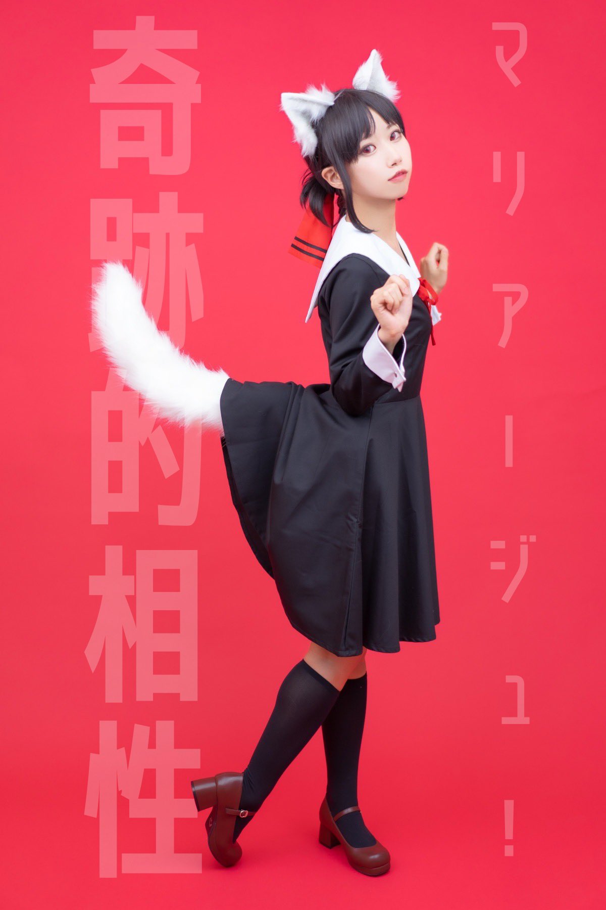 Así es como Japón celebra a lo grande el día de los gatos