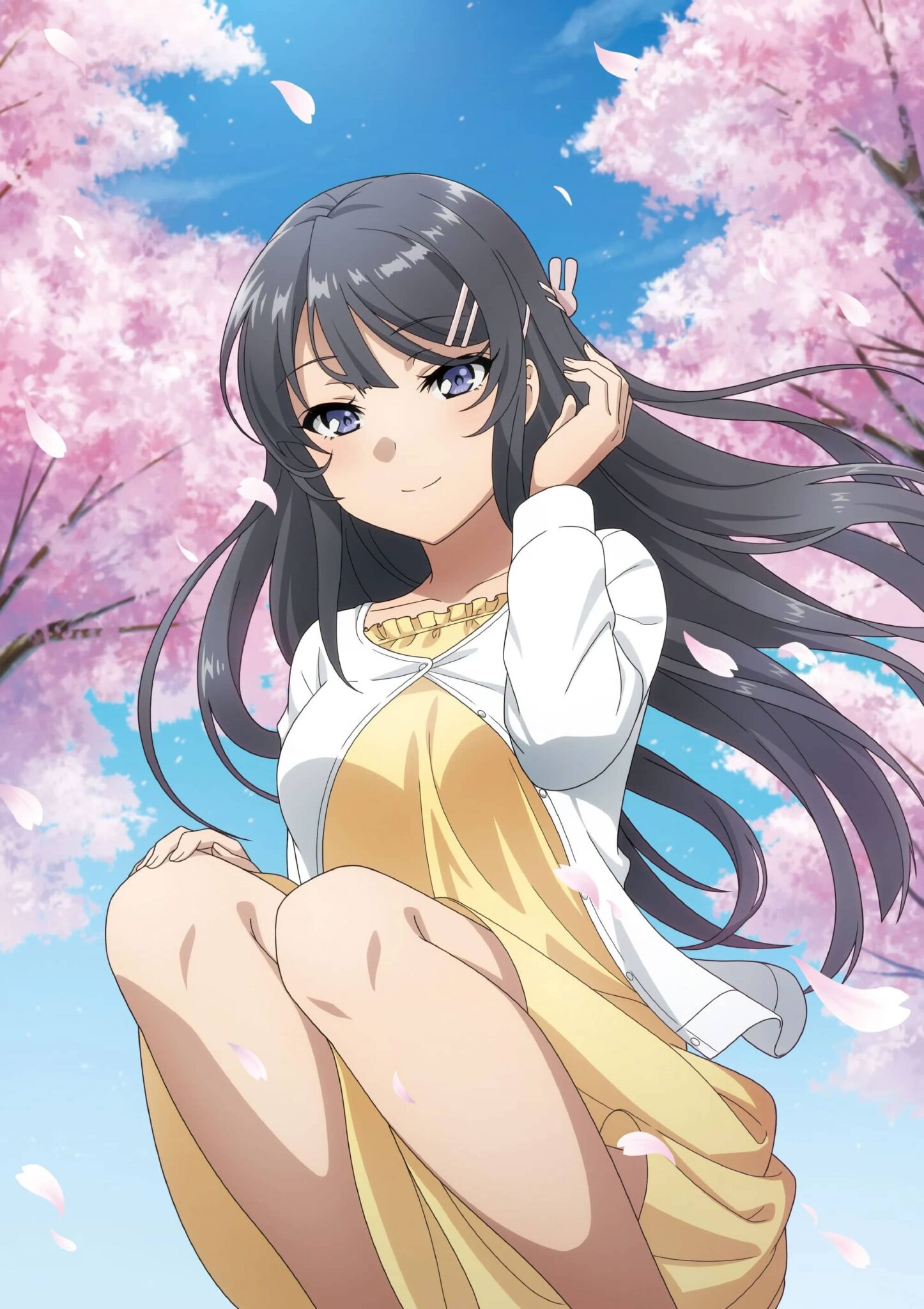 Seishun Buta Yarou wa Bunny Girl Senpai no Yume wo Minai