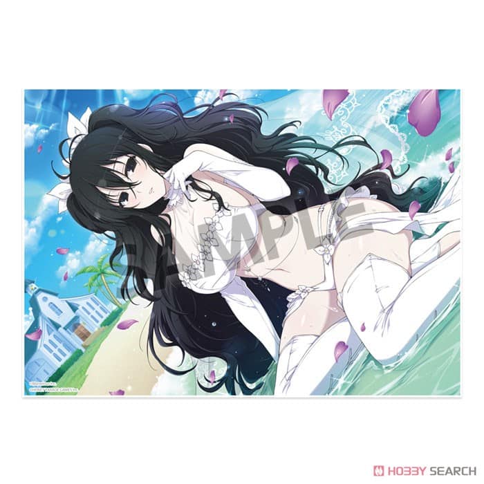 Senran Kagura productos3