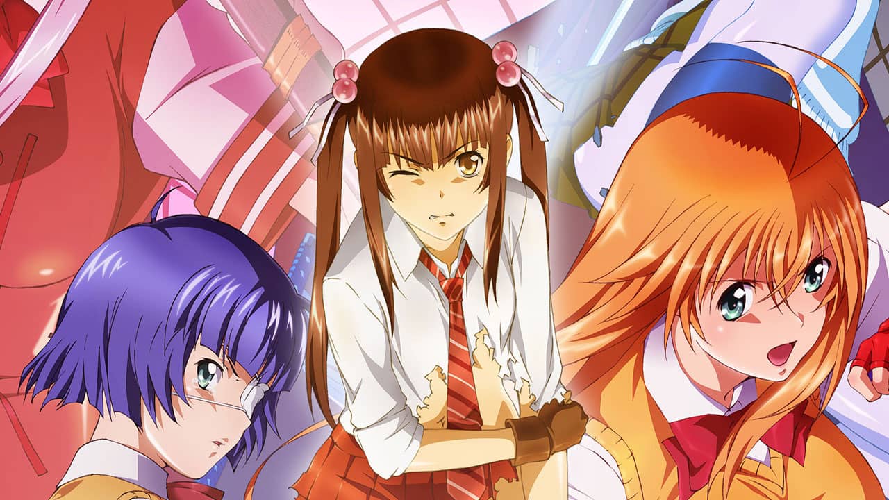 Shin Ikkitousen anime visual